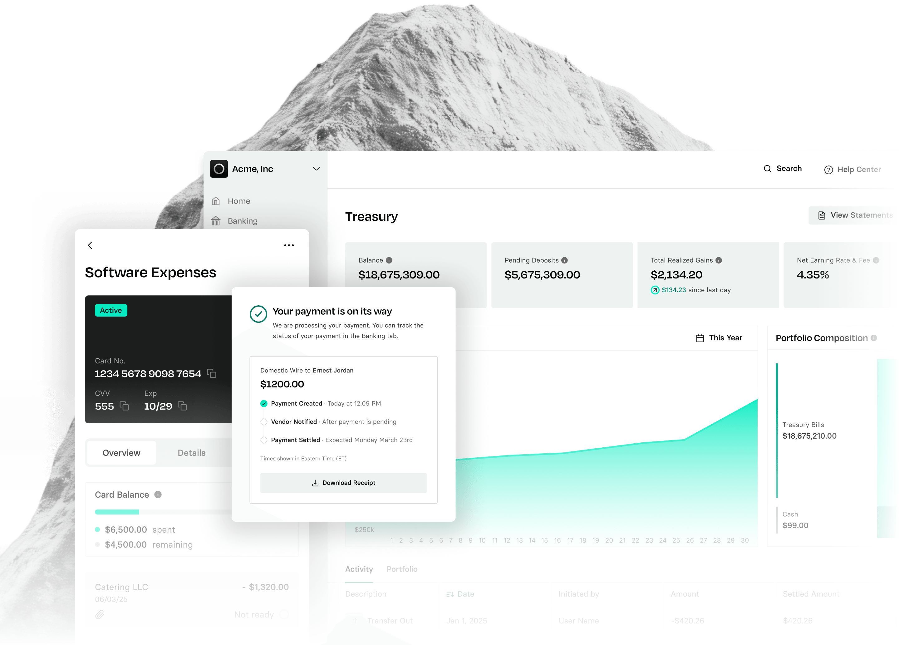 Dashboard interface showing financial data, including software expenses, treasury details, payment confirmation, and a graph of earnings over time.